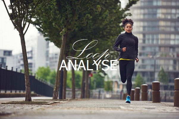 loopanalyse
