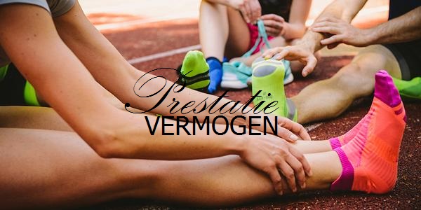 prestatievermogen